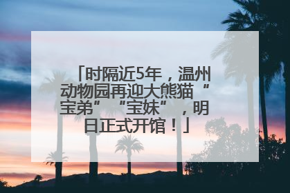 时隔近5年，温州动物园再迎大熊猫“宝弟”“宝妹”，明日正式开馆！